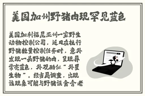 b站推广网站入口2024的推广形式