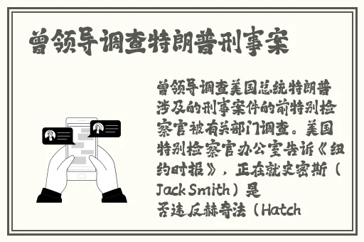 在线观看91精品国产入口